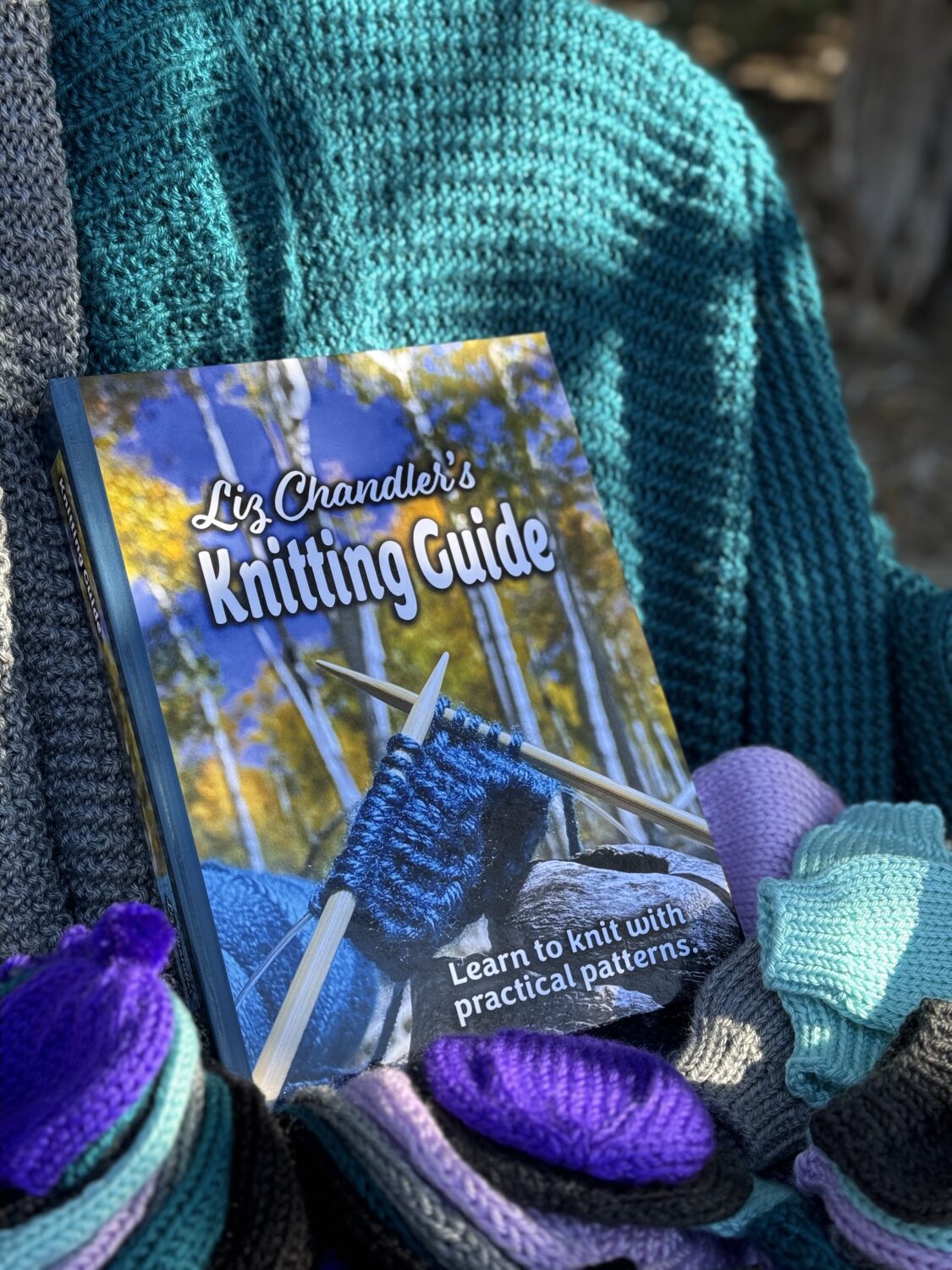 Liz Chandler's Knitting Guide:Learn to Knit with Practical Patterns  (Hardcover Book) - PurlsAndPixels